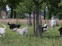 Puppys van Bliss040622-0056